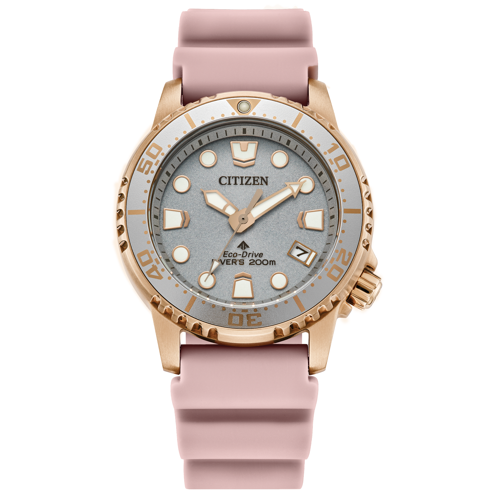 Promaster Dive Citizen Ladies Eco-Drive Watch – Johnson Bros 